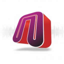 Логотип Первое сетевое